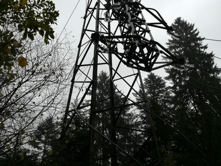 Liquidazione indennizzi a seguito delle mancate alimentazioni